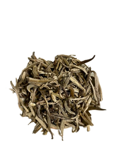 China Jasmin Silver Needle (Økologisk)