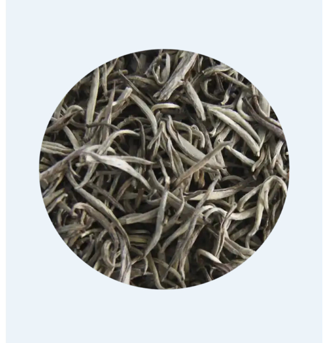 China Jasmin Silver Needle (Økologisk)