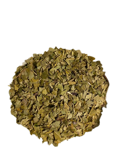 Maté Te